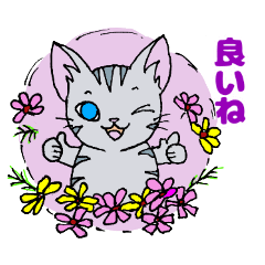 [LINEスタンプ] ほうせんか猫の部屋 秋を感じるスタンプ