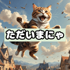 [LINEスタンプ] かわいい猫の日常です