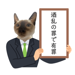 [LINEスタンプ] お酒とネコ好きな日常会話2