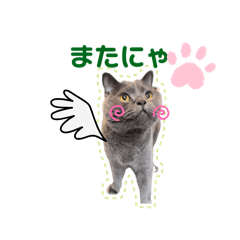 [LINEスタンプ] こてつくんと日常スタンプ