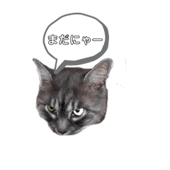 [LINEスタンプ] ピリオハナスタンプ1（Yver.）