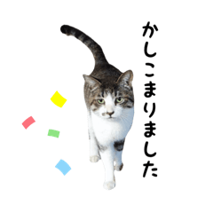 [LINEスタンプ] 24季邸佐吉スタンプ