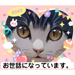 [LINEスタンプ] お世話になっています。