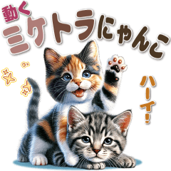 [LINEスタンプ] 動く！ミケトラにゃんこの画像（メイン）