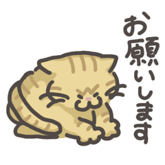 [LINEスタンプ] ミヌエット猫はまち