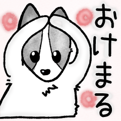 [LINEスタンプ] 黒白いぬとねこ