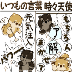 [LINEスタンプ] 【Big】柴犬『いつもの言葉』時々天使