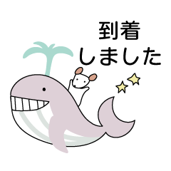 [LINEスタンプ] 夏の待ち合わせ⭐︎ジャックラッセルテリア