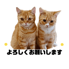 [LINEスタンプ] ひとしとみっこ