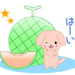 [LINEスタンプ] 飛び出す！ちびプードル9【夏】