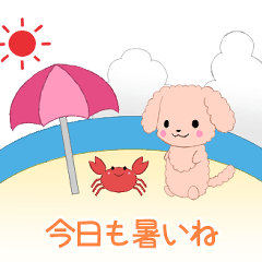 [LINEスタンプ] ちびプードル9【夏】