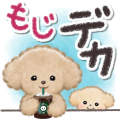 [LINEスタンプ] でか文字⭐️トイプードル