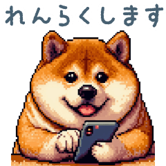 [LINEスタンプ] 敬語を使う柴犬【連絡・日常会話】