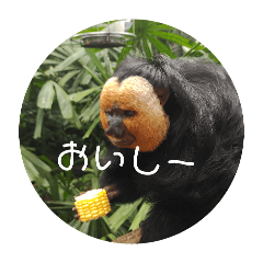 [LINEスタンプ] お食事おさるスタンプ