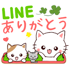 [LINEスタンプ] デカ文字❤日常会話