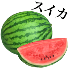 [LINEスタンプ] みずみずしい スイカの画像（メイン）