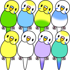 [LINEスタンプ] インコ選べる♪ 組み合わせ