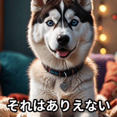 [LINEスタンプ] 可愛いけど辛口！動物たちの本音スタンプ