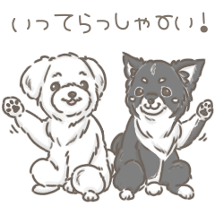 [LINEスタンプ] マルチーズとチワワ