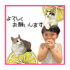 [LINEスタンプ] ☆Yuzu boy×happy art☆4歳編①