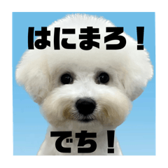 [LINEスタンプ] はにまろすたんぷ！