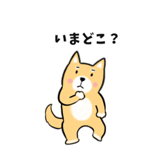 [LINEスタンプ] 柴犬の柴太郎