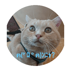 [LINEスタンプ] 足長マンチカン三成の日常生活パート3