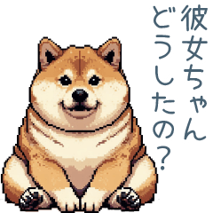 [LINEスタンプ] 彼氏用柴犬【日常会話・カップル・連絡】