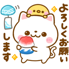 [LINEスタンプ] 夏の気遣い♡ねこねこにゃんこの画像（メイン）