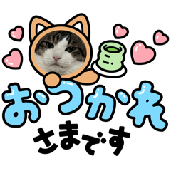 [LINEスタンプ] 真・にゃースタンプ