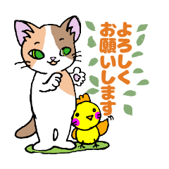 [LINEスタンプ] ほうせんか猫の部屋 動物スタンプ