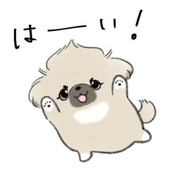 [LINEスタンプ] ペキニーズのフォーンパピーちゃん