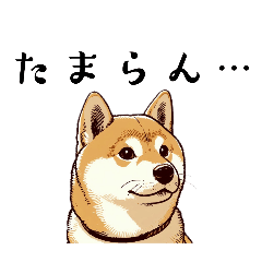 [LINEスタンプ] タマラン！柴犬祭り3