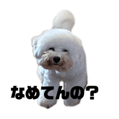 [LINEスタンプ] はにまろすたんぷ！2