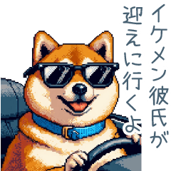 [LINEスタンプ] 日常用柴犬彼氏【カップル・連絡】