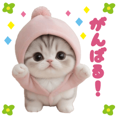 [LINEスタンプ] スコティッシュ猫 可愛い＆思いやり日常の画像（メイン）