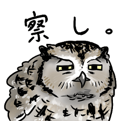 [LINEスタンプ] アメリカオオコノハズク(ニシアメ)