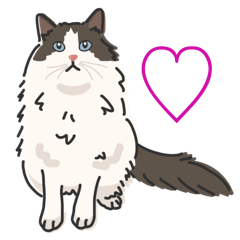 [LINEスタンプ] かわいい猫さん大集合