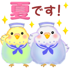 [LINEスタンプ] 仲良しインコさん「夏」の画像（メイン）