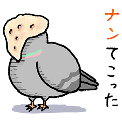 [LINEスタンプ] 脱力鳩さん愉快で使えるダジャレ(ナン多め)の画像（メイン）