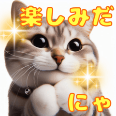 [LINEスタンプ] リアルねこの豊かな感情