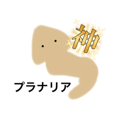 [LINEスタンプ] カラフルな動物の落書きスタンプ