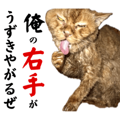 [LINEスタンプ] しもてぃーず17