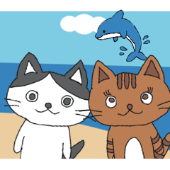 [LINEスタンプ] ハチワレ君とチャトラさん 3rd