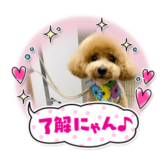 [LINEスタンプ] ピノさんwith 2