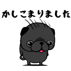 [LINEスタンプ] 黒パグのくう〜3。職場で使える敬語集。