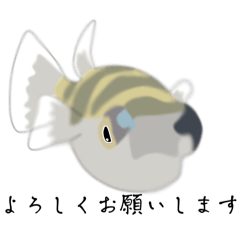 [LINEスタンプ] フグ＋熱帯魚＋金魚スタンプ