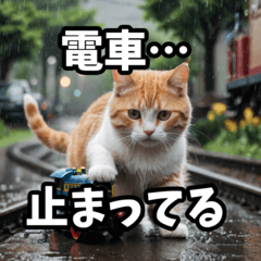 [LINEスタンプ] 可愛い猫の日常使いスタンプ