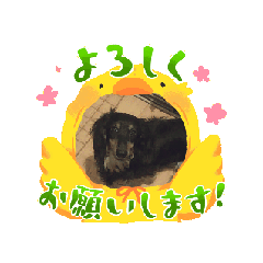 [LINEスタンプ] 元気ないぬさん