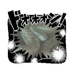 [LINEスタンプ] 生き物やはちゅう類